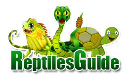 Reptiles Guide
